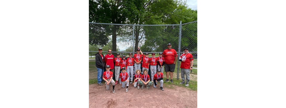 AAA Champions - McDonald's